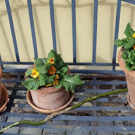 בית הארחה Agape Behlitz