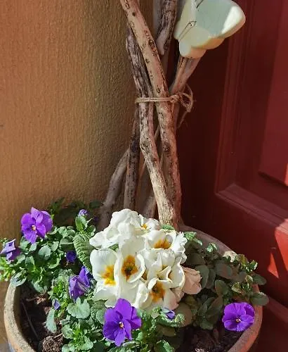 Agape Гостевой дом 3*