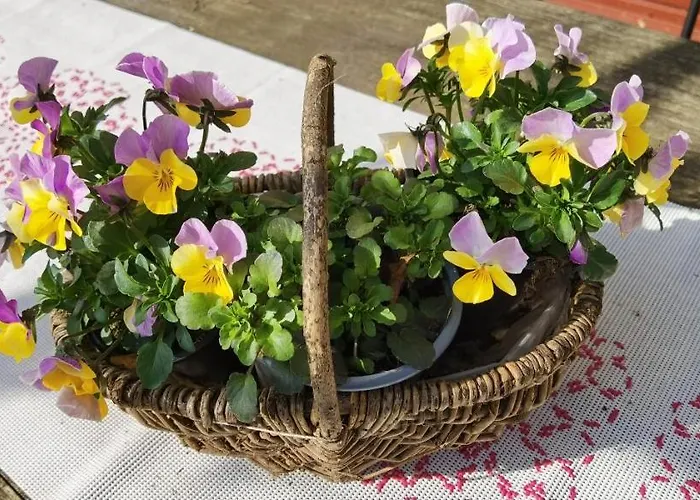 Гостевой дом Agape